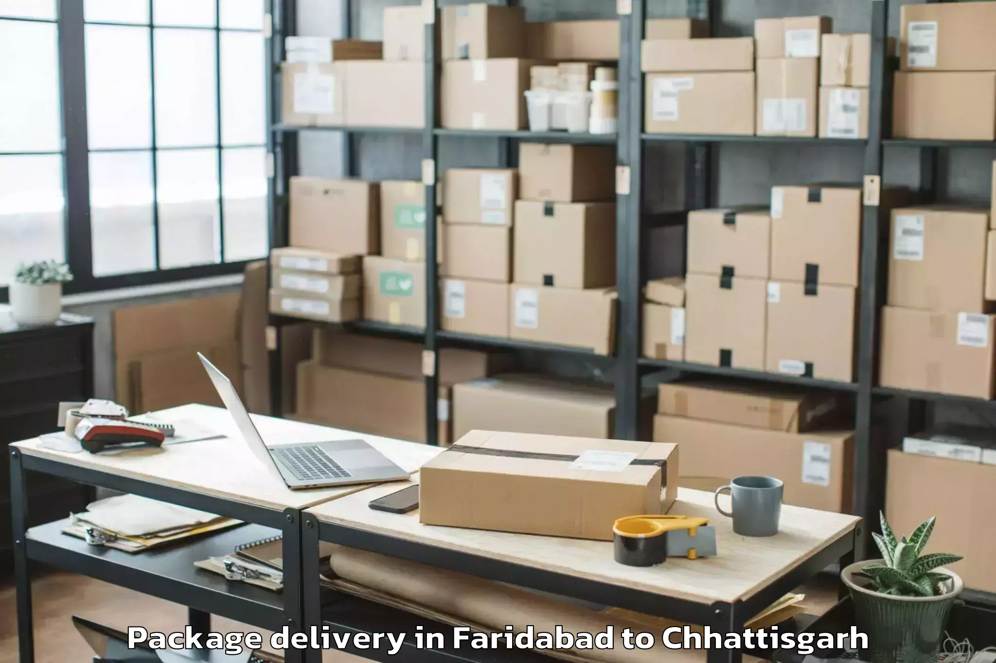 Quality Faridabad to Bhatapara Package Delivery